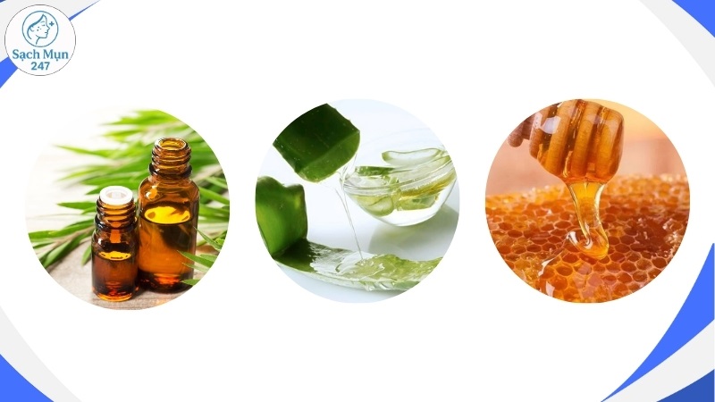 dầu tràm, gel nha đam, mật ong nguyên chất