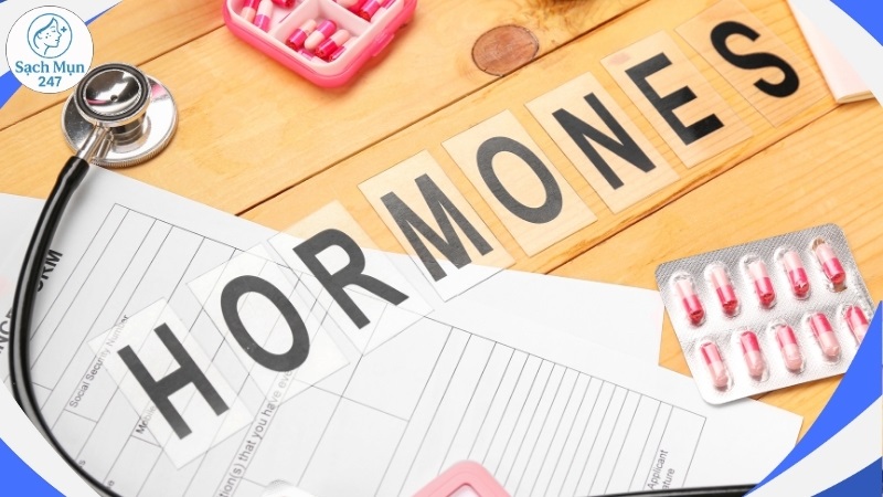 Sự thay đổi hormone
