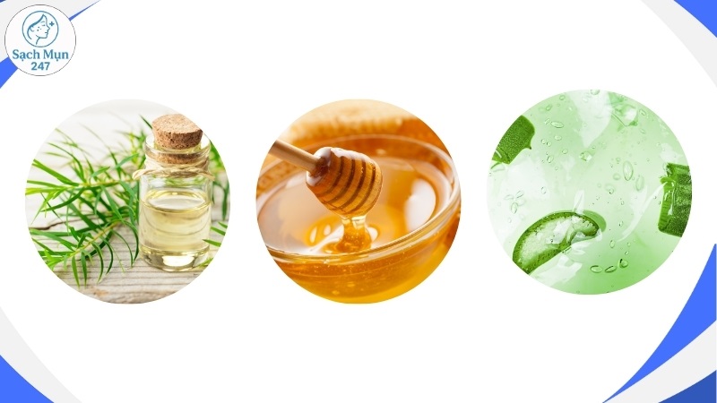 dầu tràm, mật ong, gel nha đam