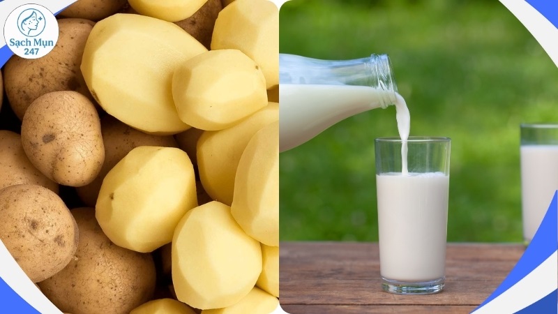 Khoai tây kết hợp sữa tươi