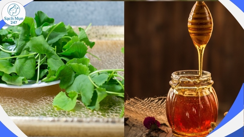 Rau má và mật ong