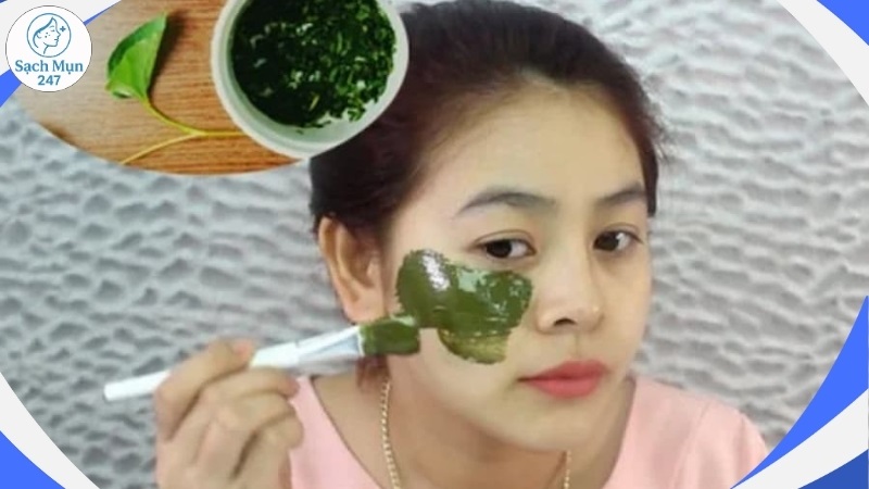Đắp mặt nạ rau diếp cá