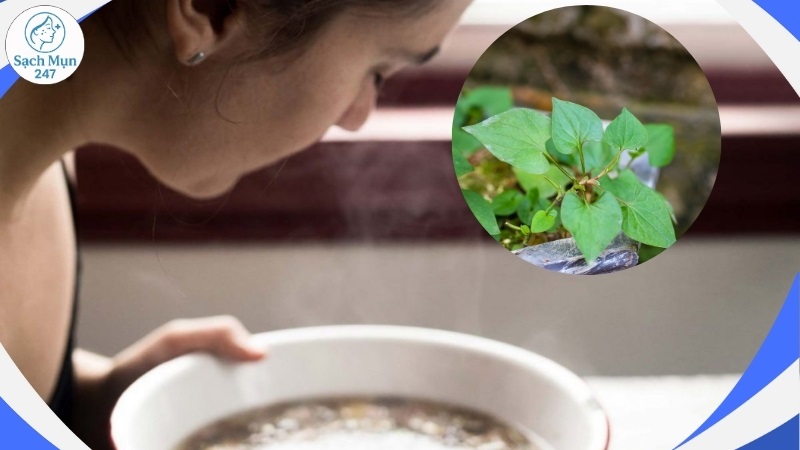 Xông mặt với rau diếp cá
