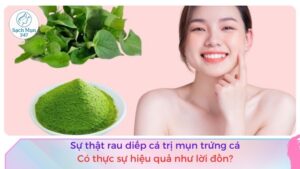 rau diếp cá trị mụn trứng cá