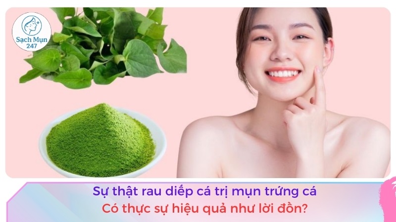 rau diếp cá trị mụn trứng cá